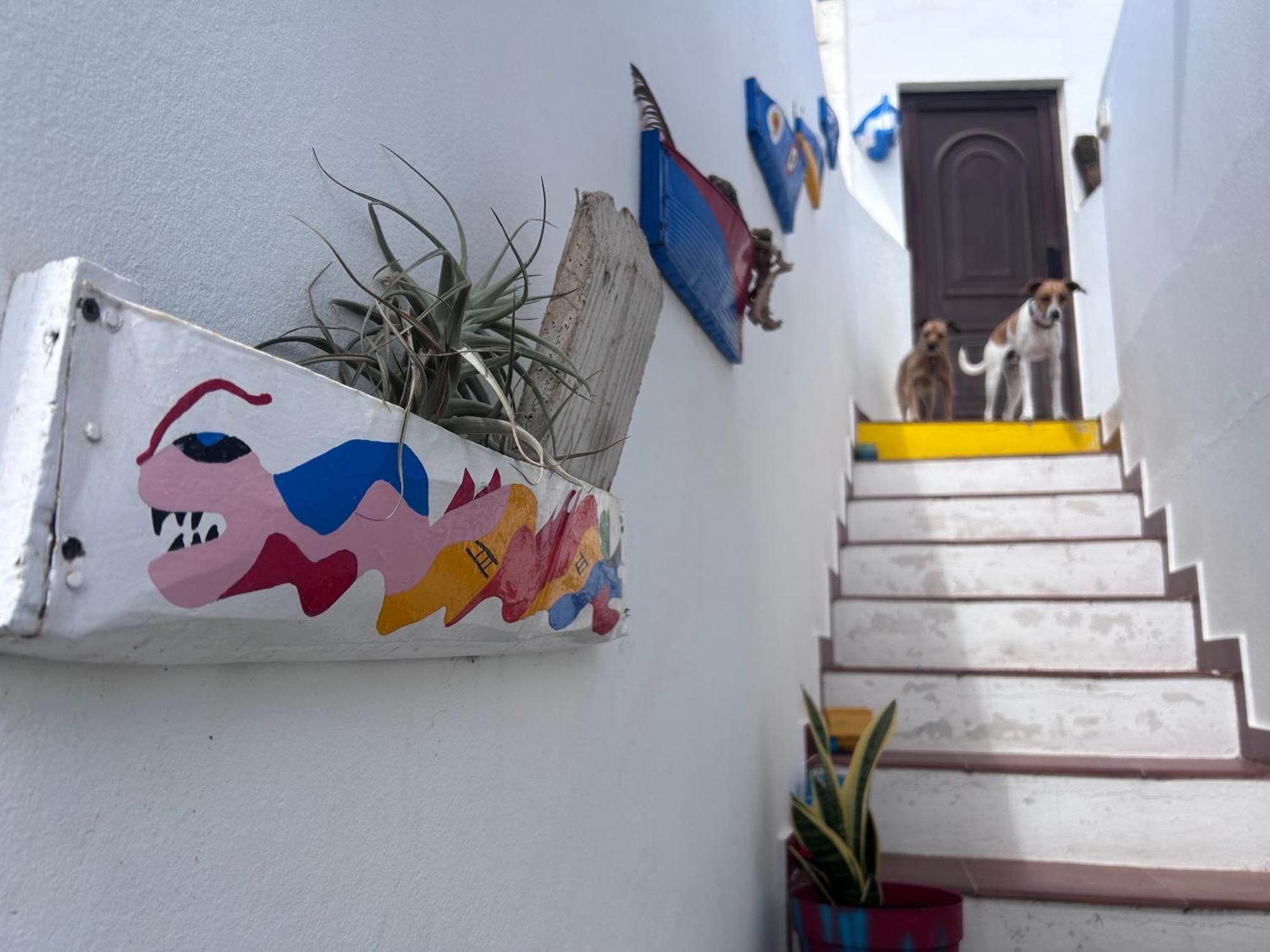 La Buganvilla Rooms Arrecife  Extérieur photo